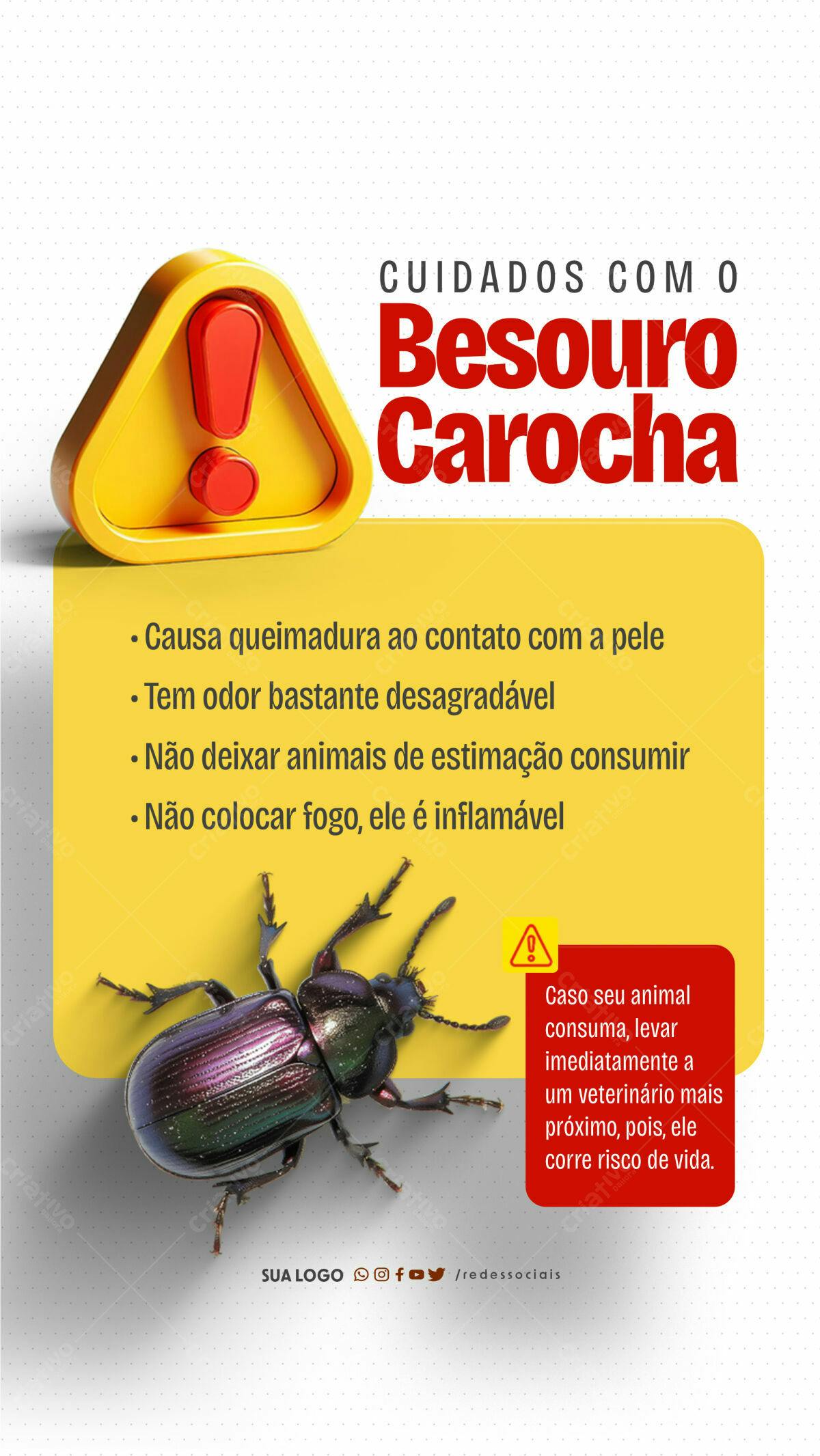 Flyer Cuidados com o Besouro Carocha PSD Editável
