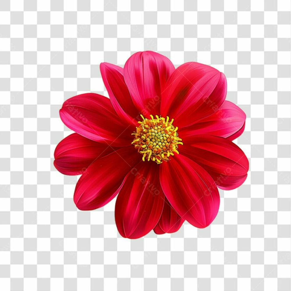 Flores Png Transparente (11)
