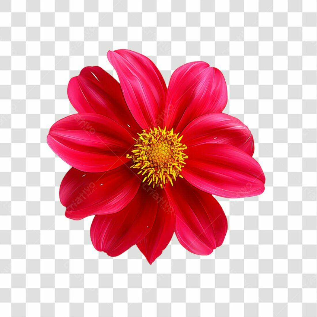 Icone Flor Vermelha PNG com fundo transparente