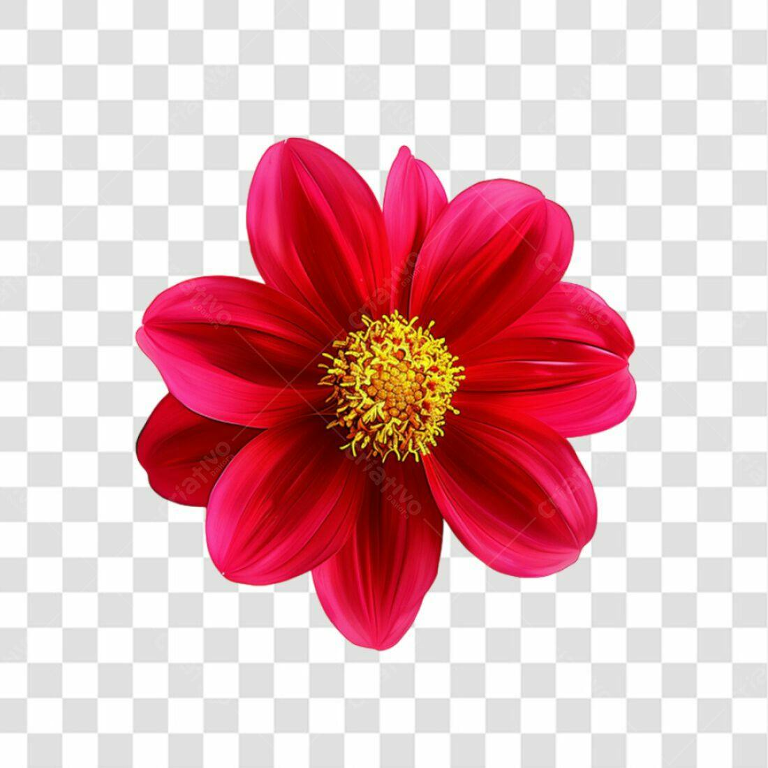Icone Flor Vermelha PNG com fundo transparente