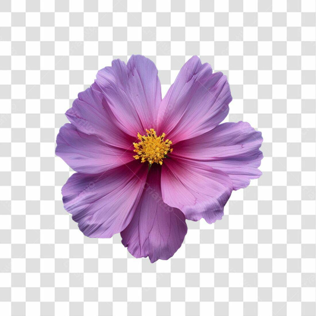 Icone Flor Lilás PNG com fundo transparente