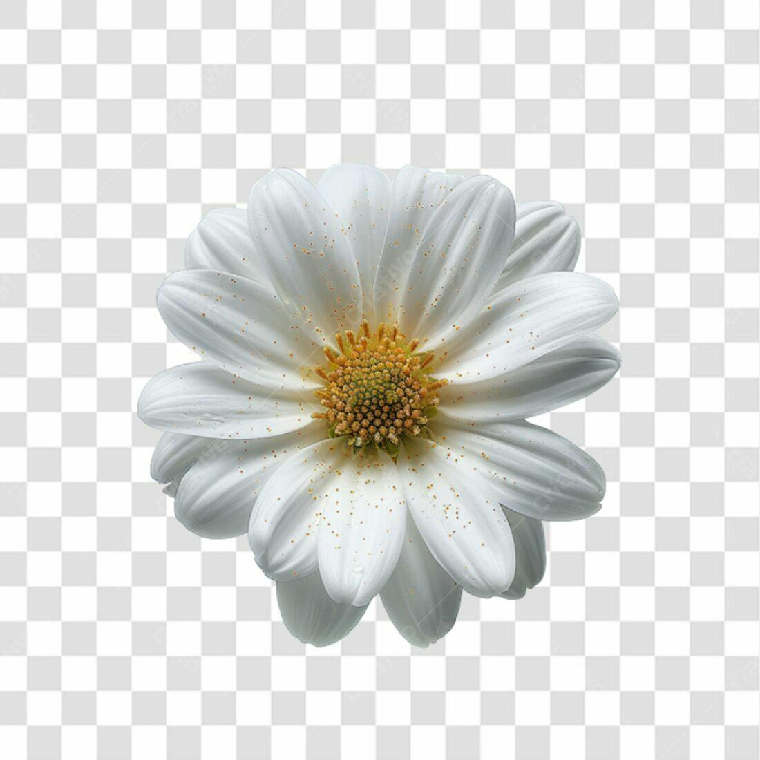 Icone Flor Branca PNG com fundo transparente