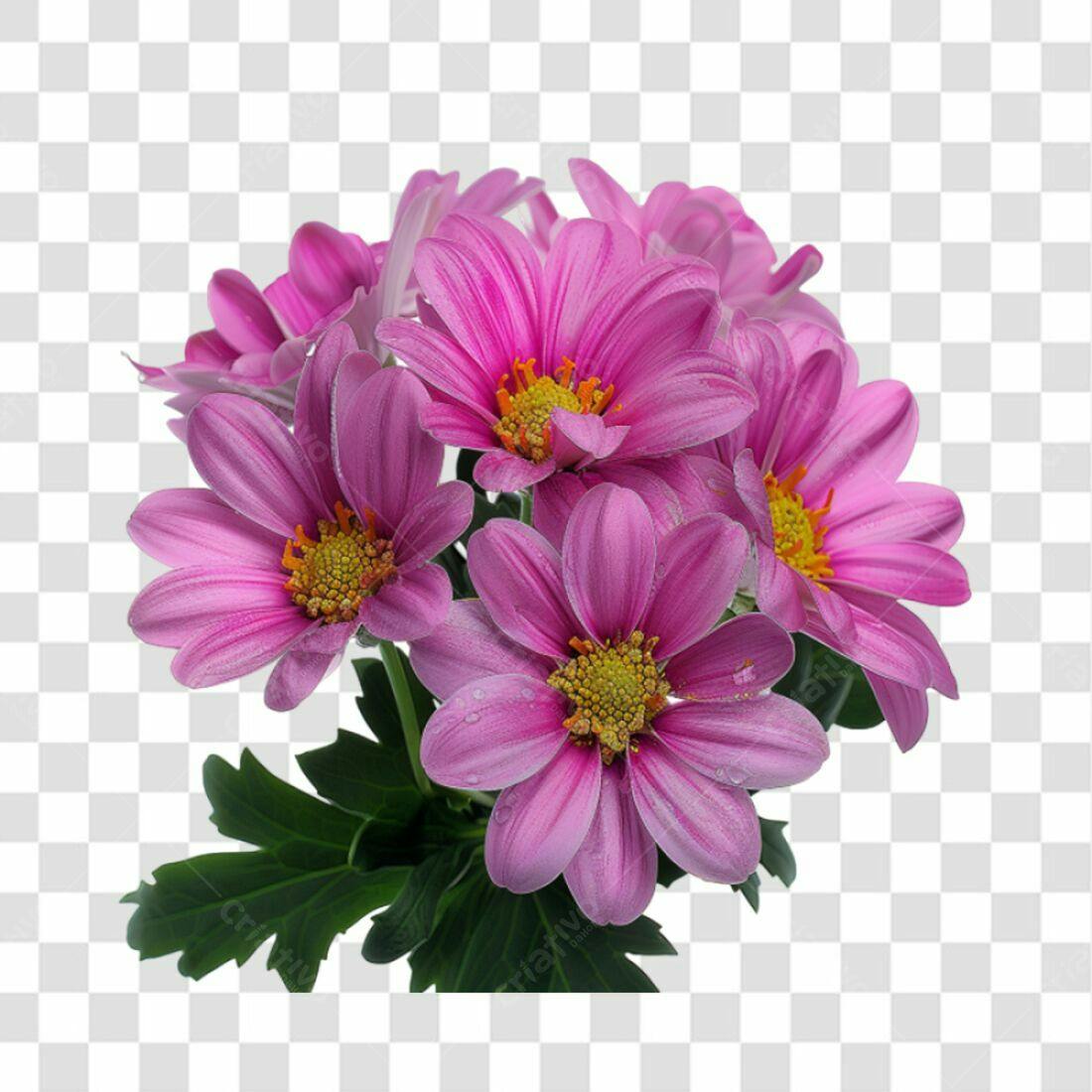 Imagens de Flores Rosas PNG com fundo transparente