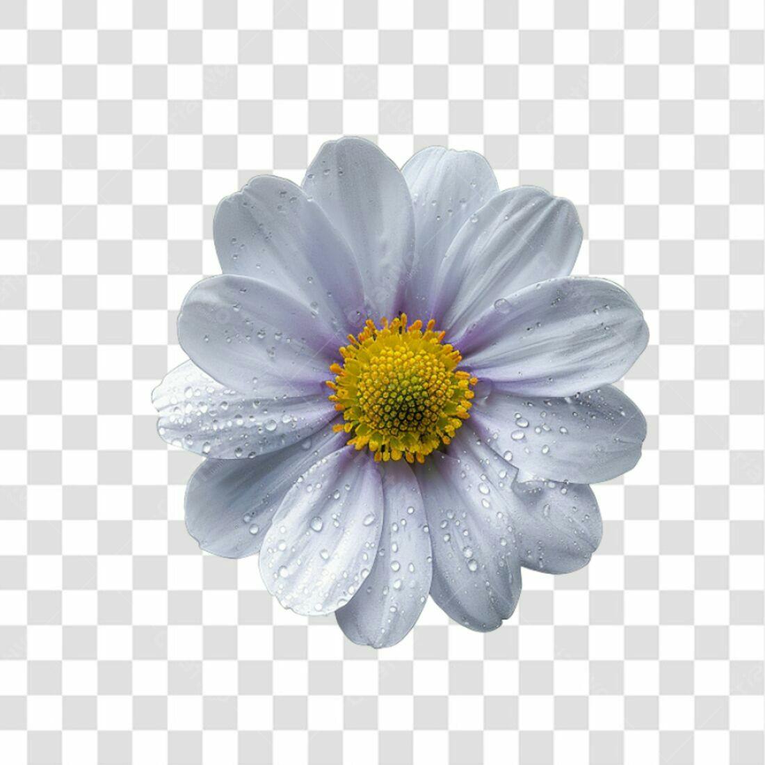 Icone Flor Primavera PNG com fundo transparente