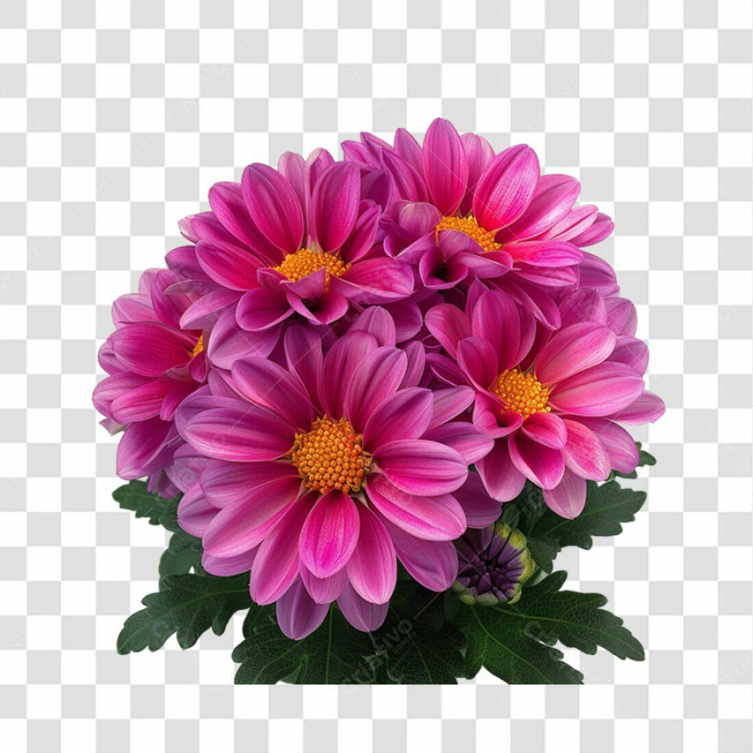 Icone Flores Rosa Dia das Mães PNG com fundo transparente