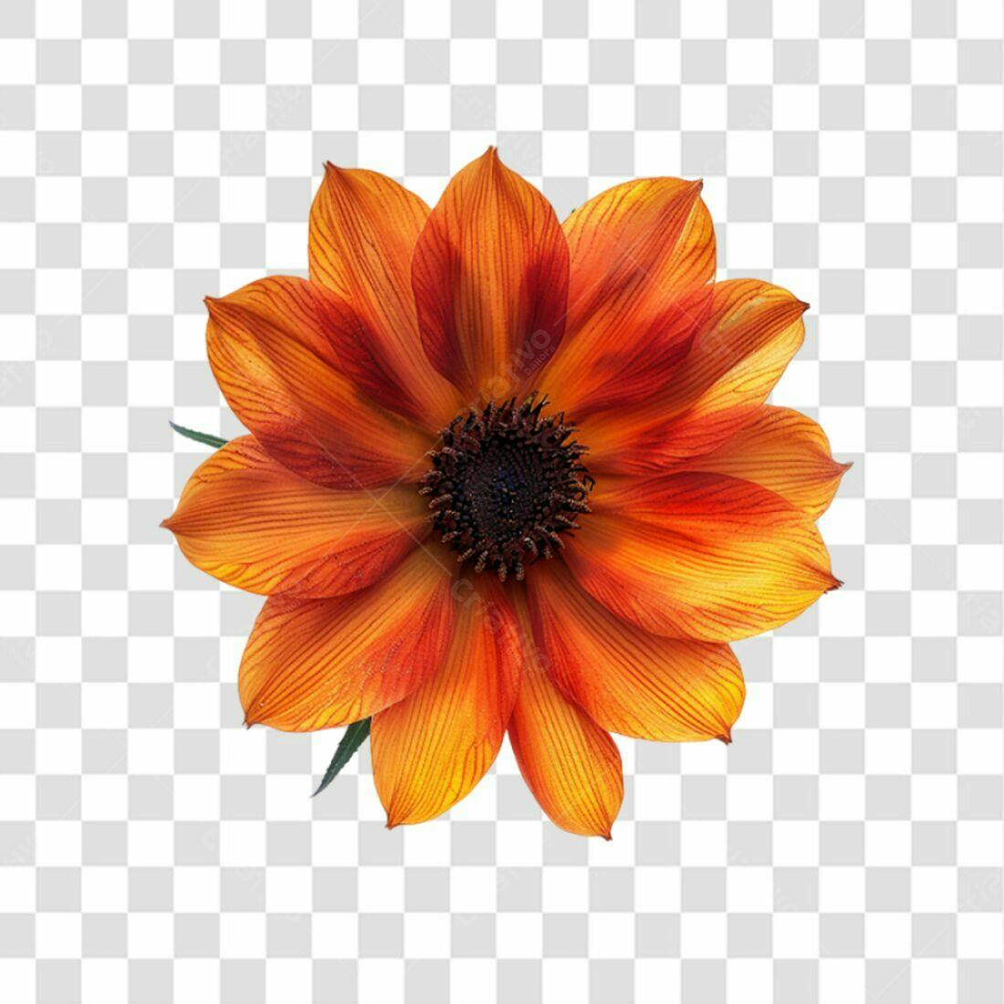 Icone Flor Laranja Outono PNG com fundo transparente