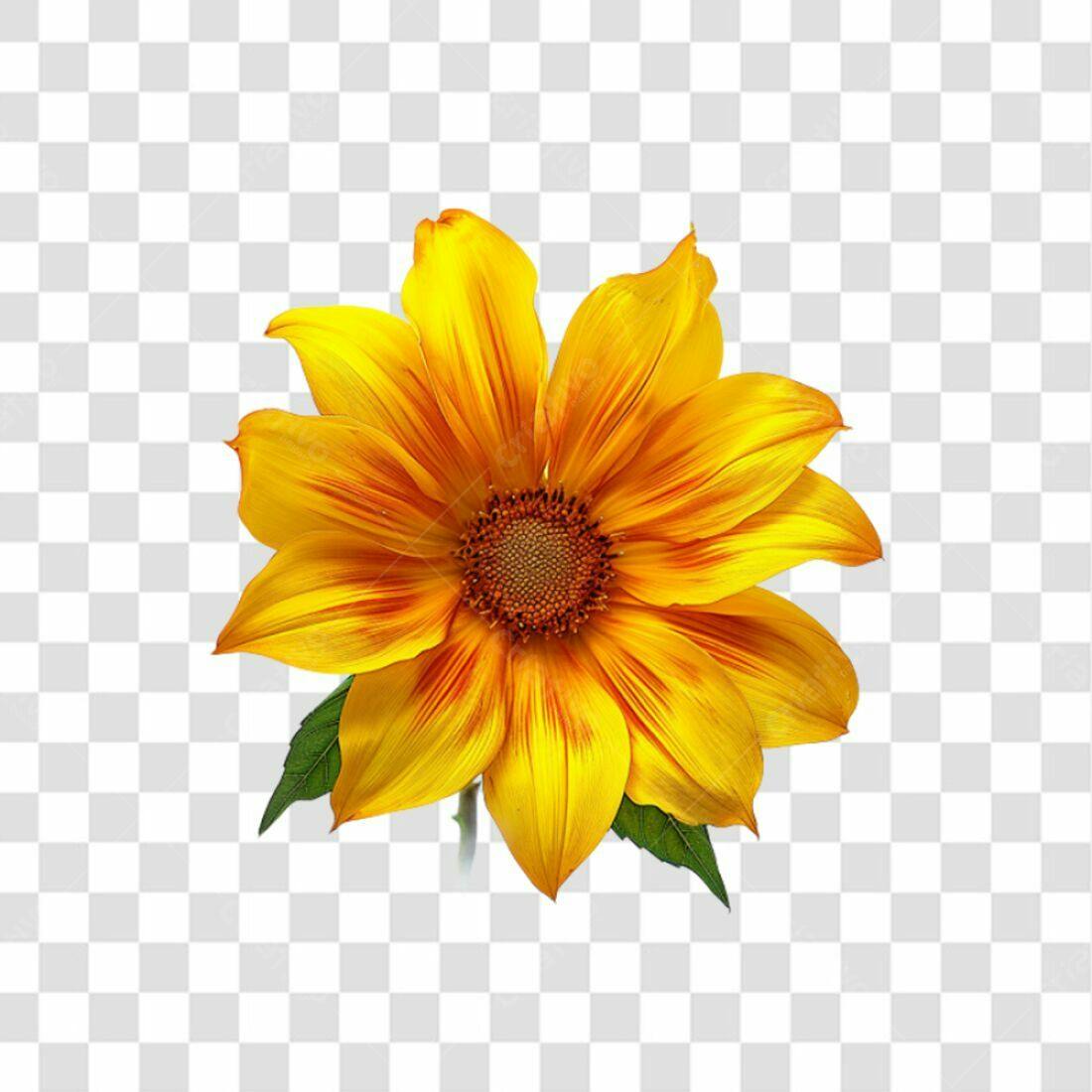 Icone Flor Girasol PNG com fundo transparente
