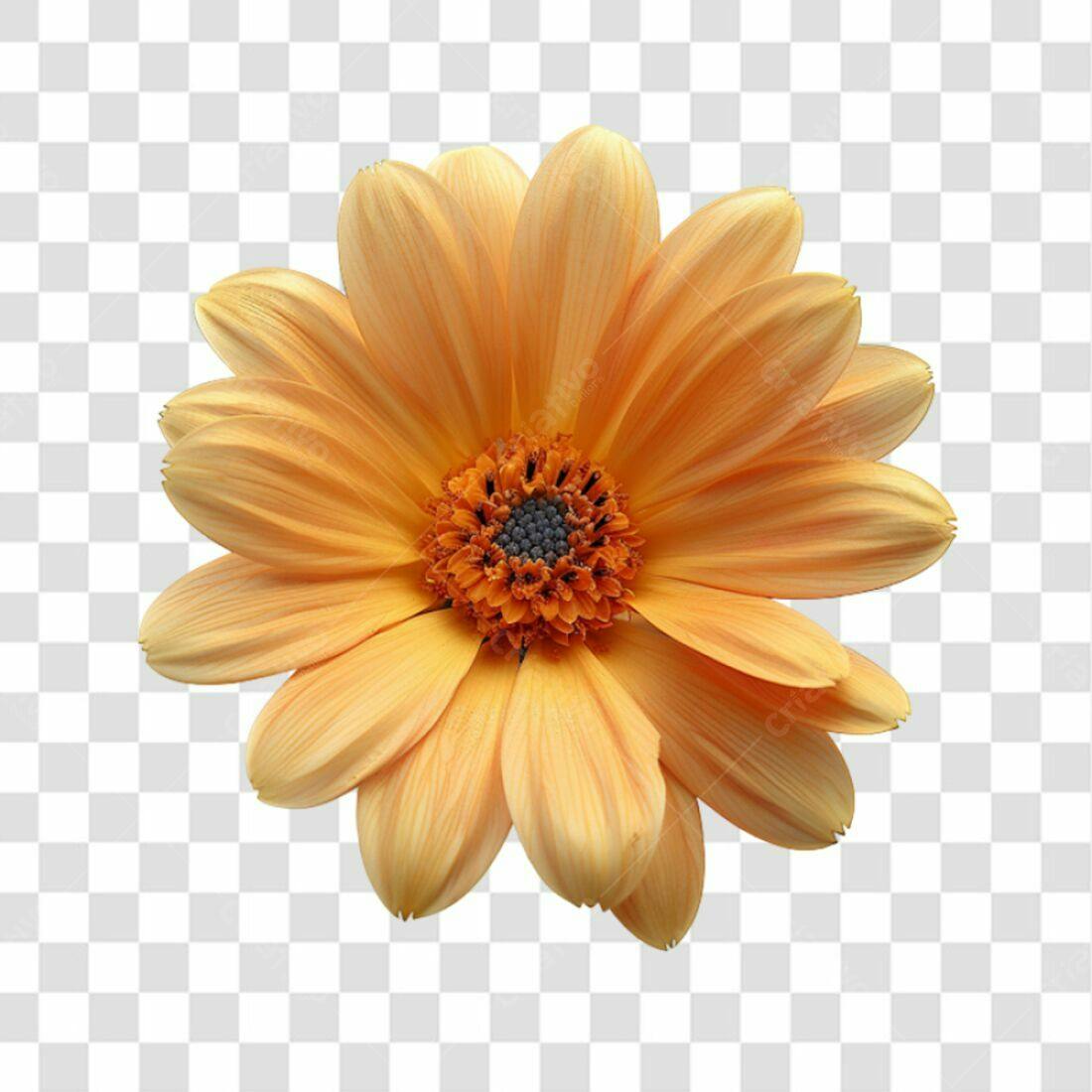 Icone Flor Laranja PNG com fundo transparente