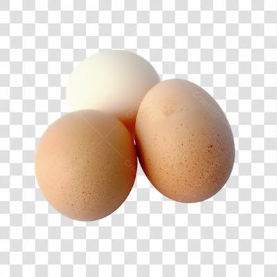 Ovos E Bandejas Png Transparente (9)