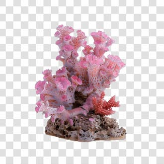 Coral 3d png transparente