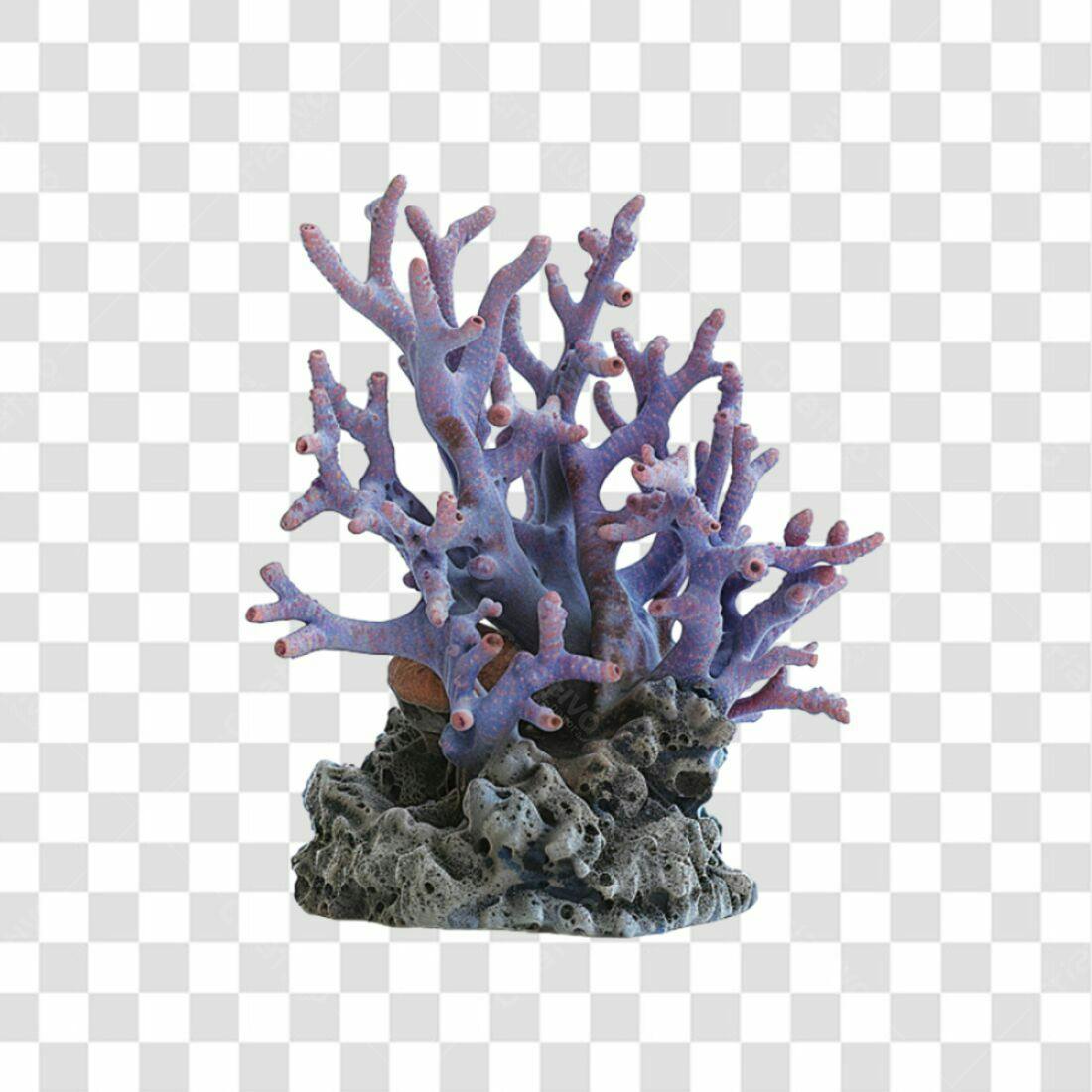 Icone Coral marinho PNG com fundo transparente