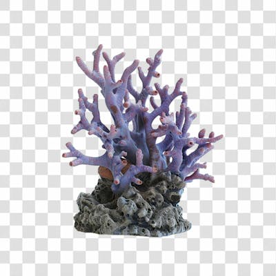 Coral 3D Png Transparente (3)