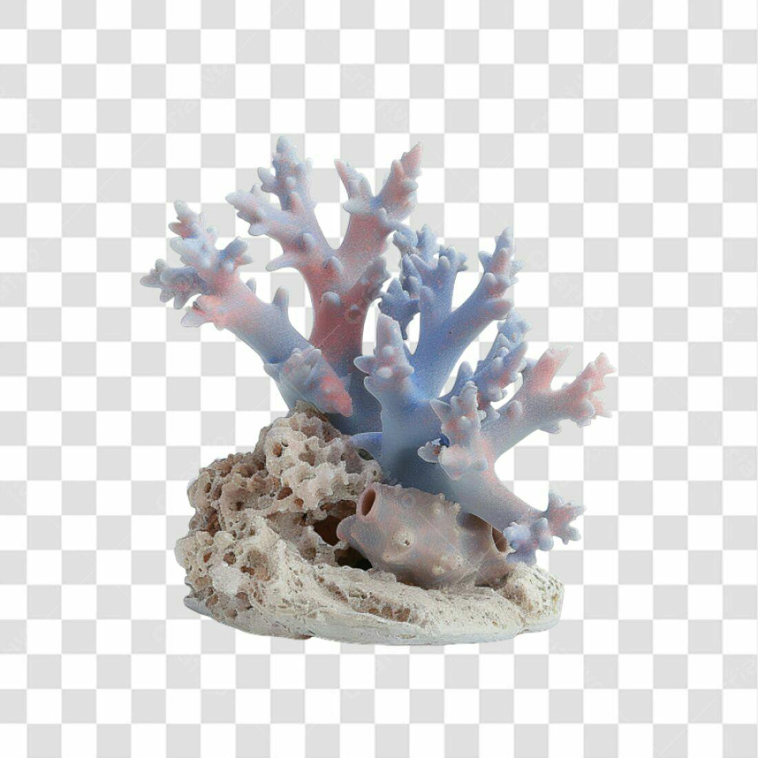 Icone Coral Marinho PNG com fundo transparente