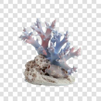Coral 3d png transparente