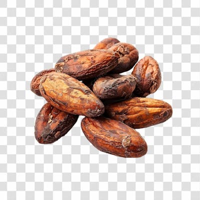 Cacau Png Transparente (4)