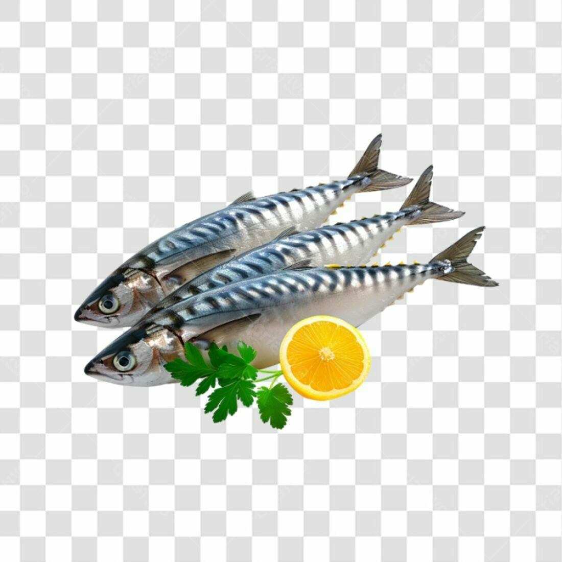 Icone Peixes Frescos PNG com fundo transparente