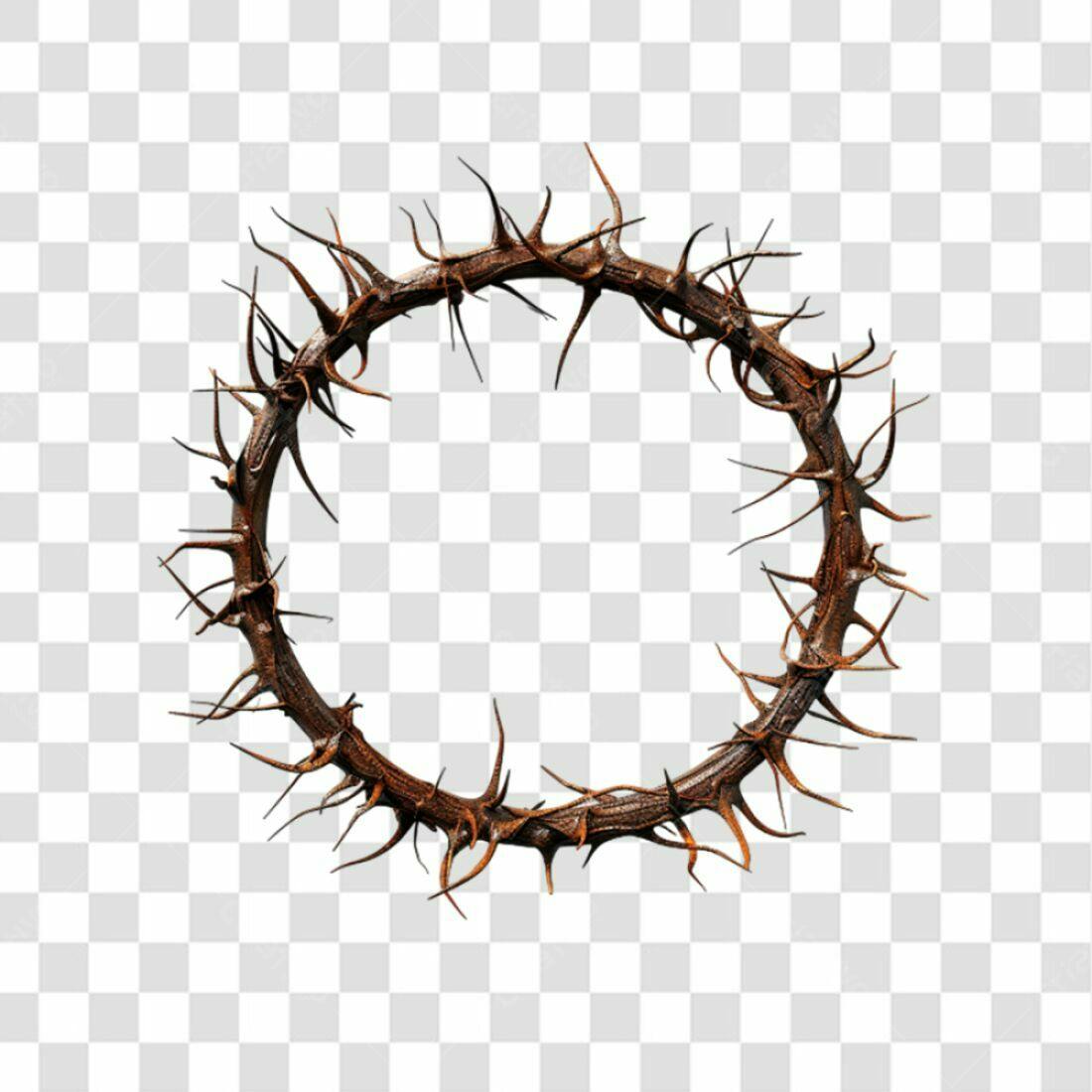 Coroa de Espinhos PNG com fundo transparente