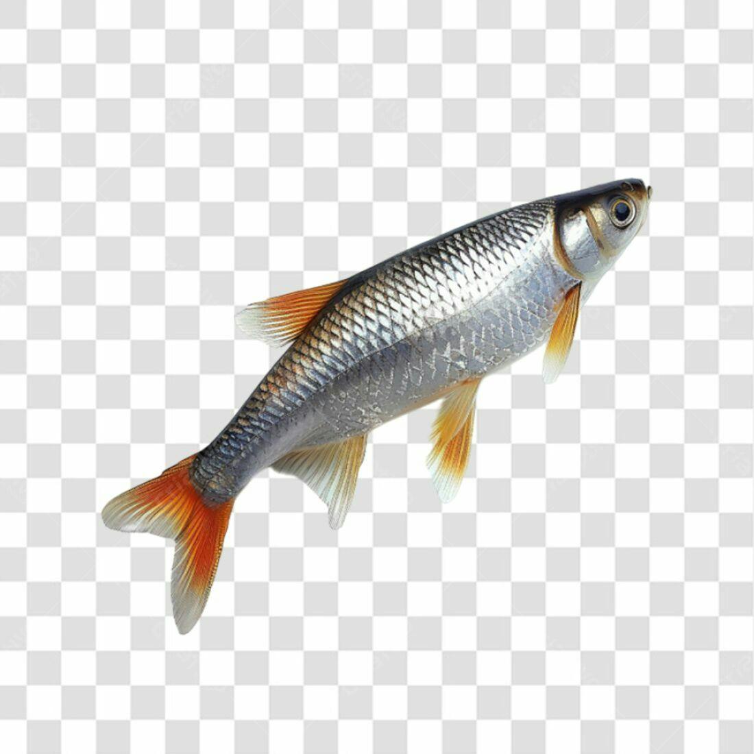 Icone Peixe Prata PNG com fundo transparente
