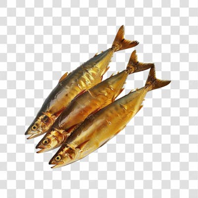 Peixes Png Transparente (8)