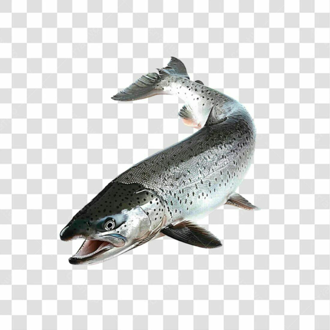 Icone Peixe Salmão PNG com fundo transparente