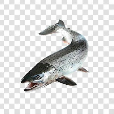 Peixes Png Transparente (12)