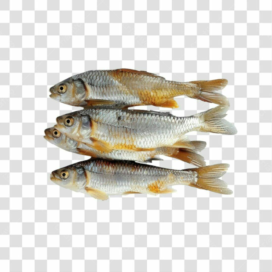 Icone Peixes PNG com fundo transparente