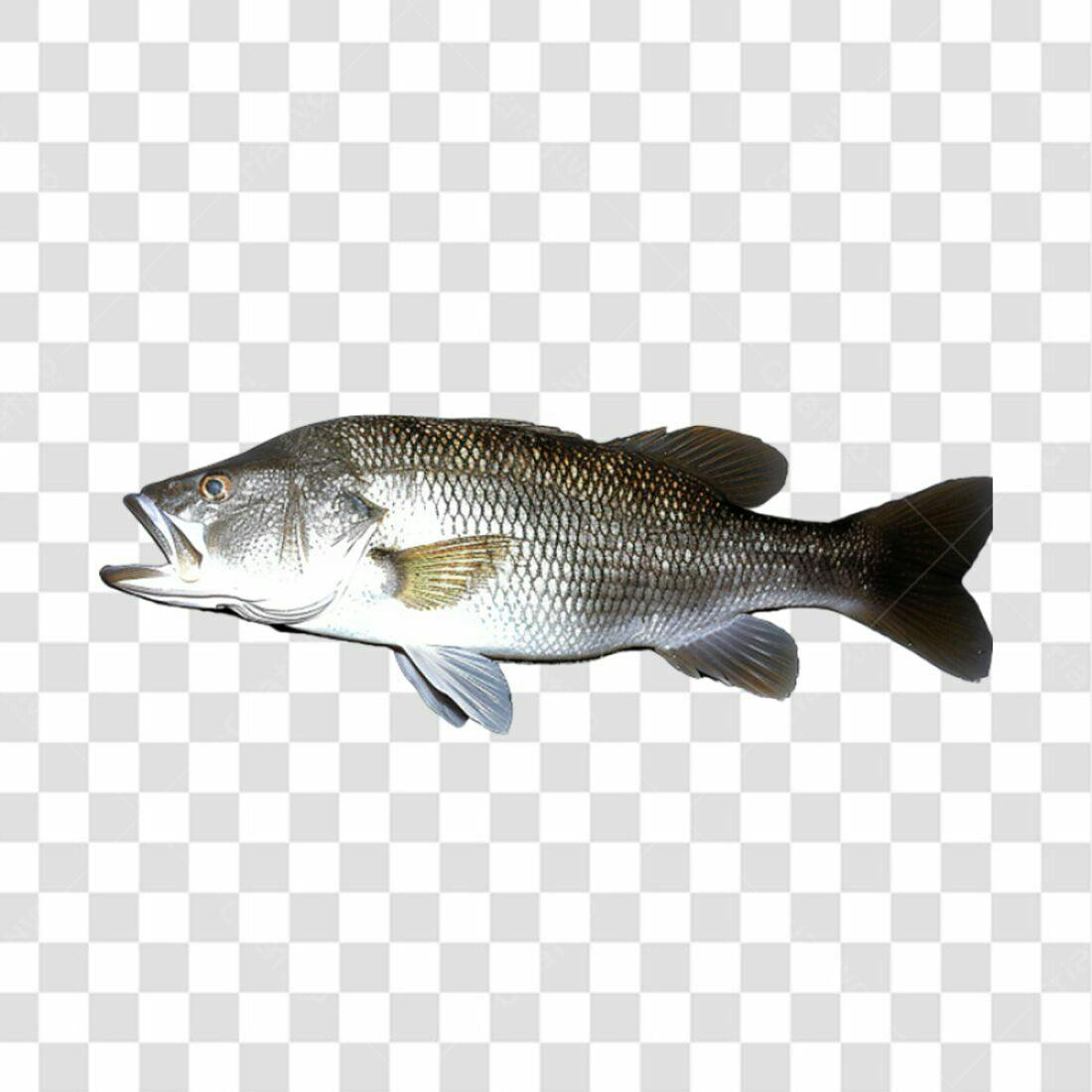 Icone Peixe PNG com fundo transparente