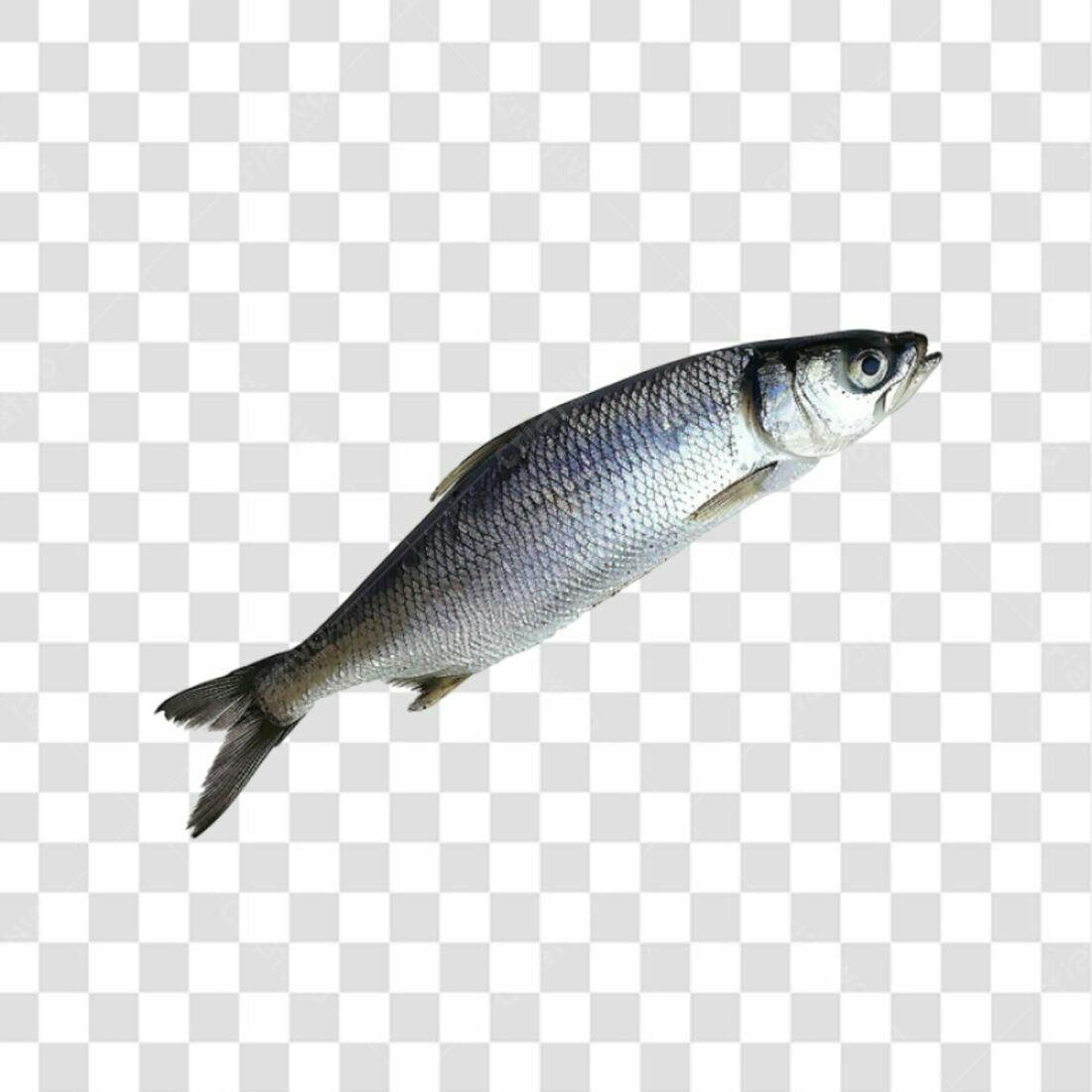Icone Peixe PNG com fundo transparente