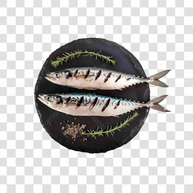 Peixes png transparente