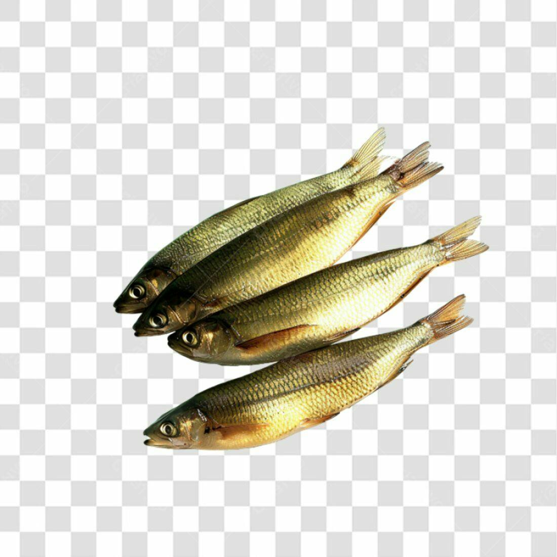 Icone Peixes Dourados PNG com fundo transparente