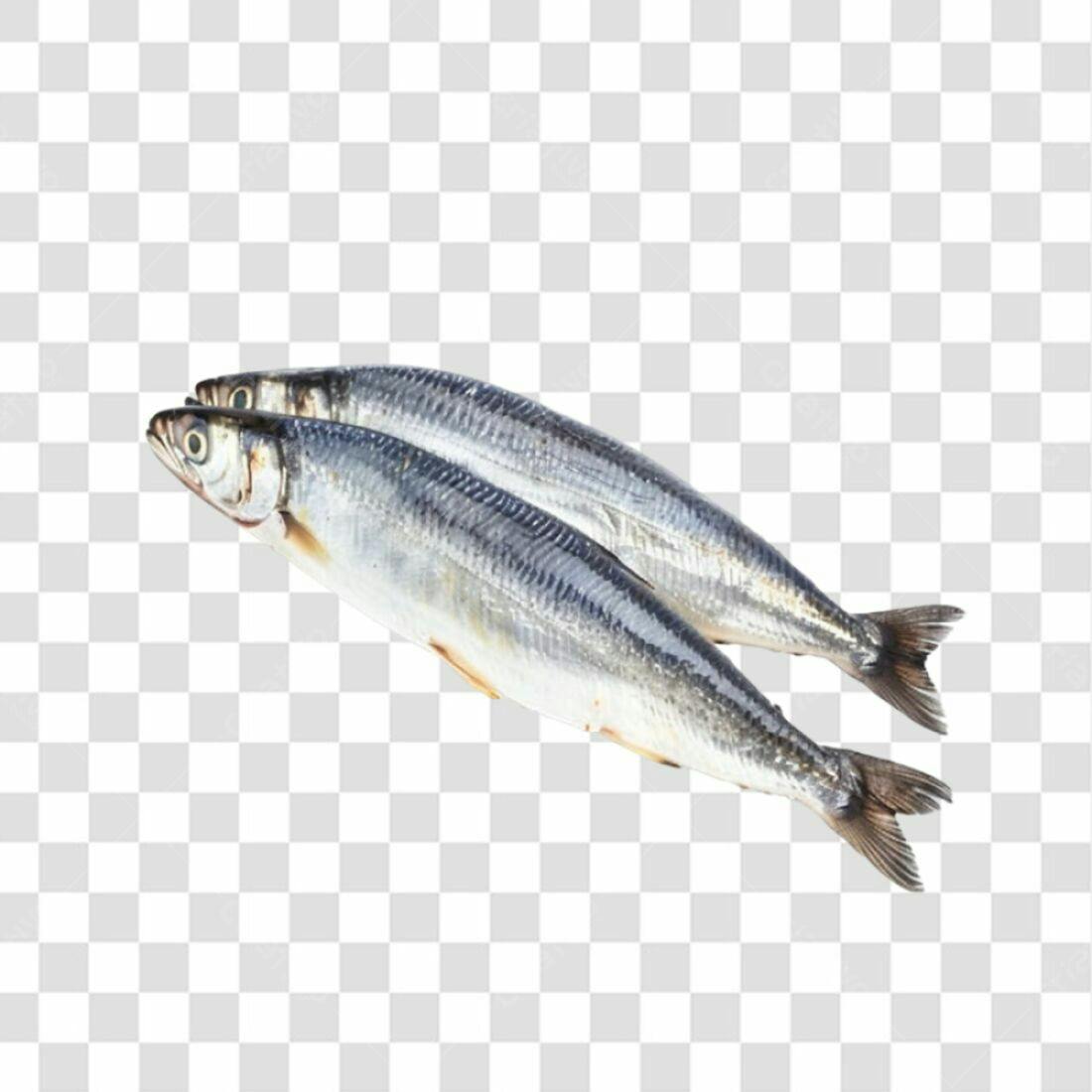 Icone Peixes Frescos PNG com fundo transparente