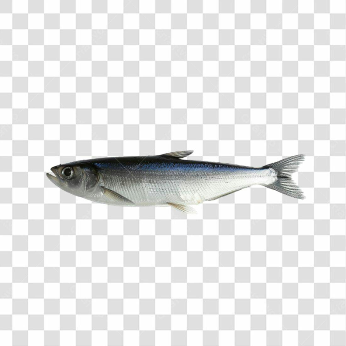 Icone Peixe PNG com fundo transparente