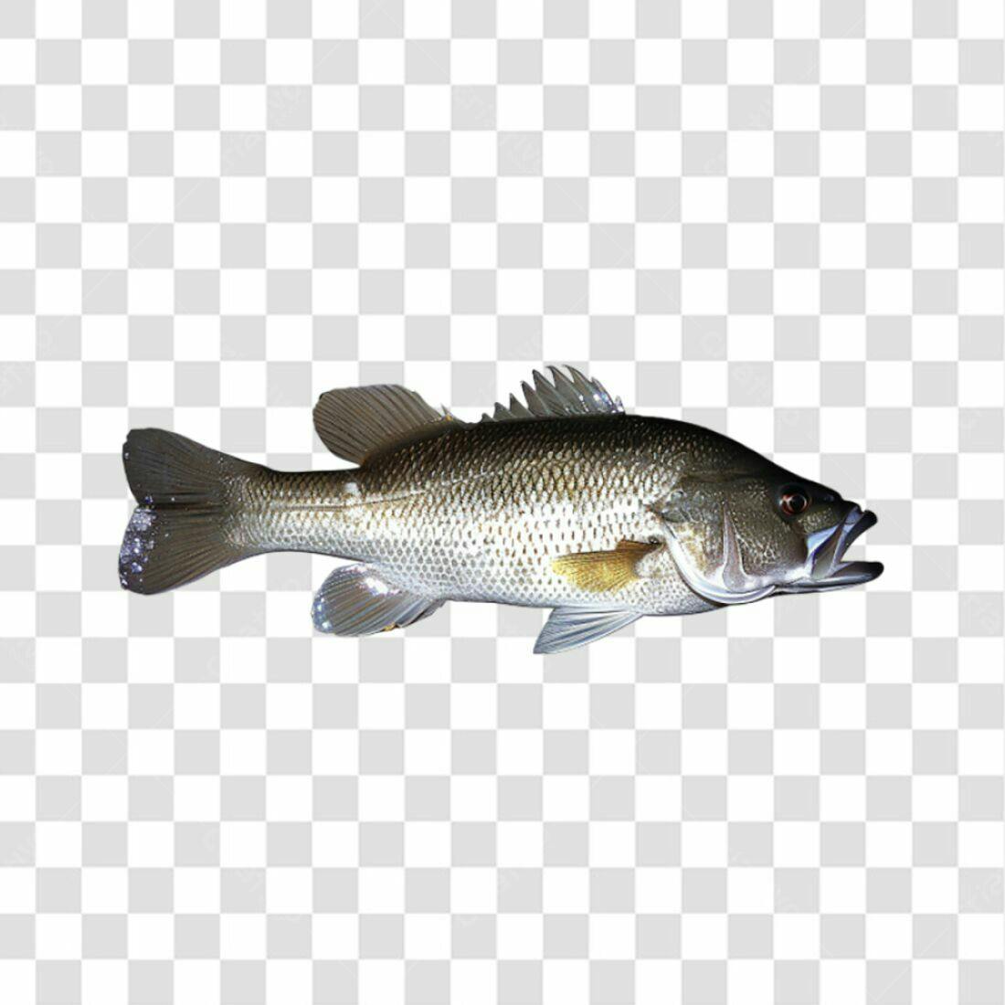 Icone Peixe PNG com fundo transparente