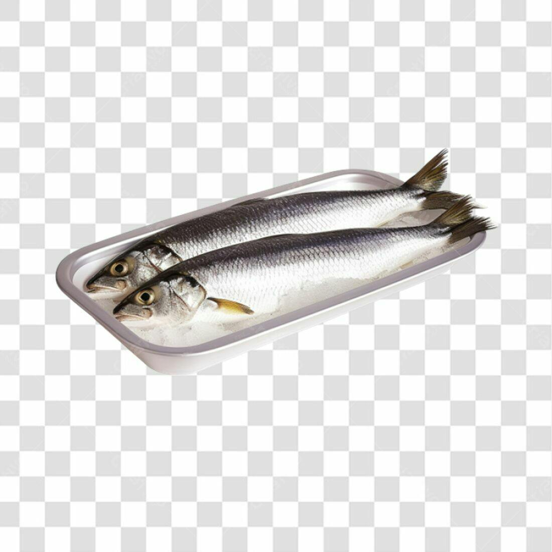 Imagem PNG Peixes Frescos para Cardápio com fundo transparente