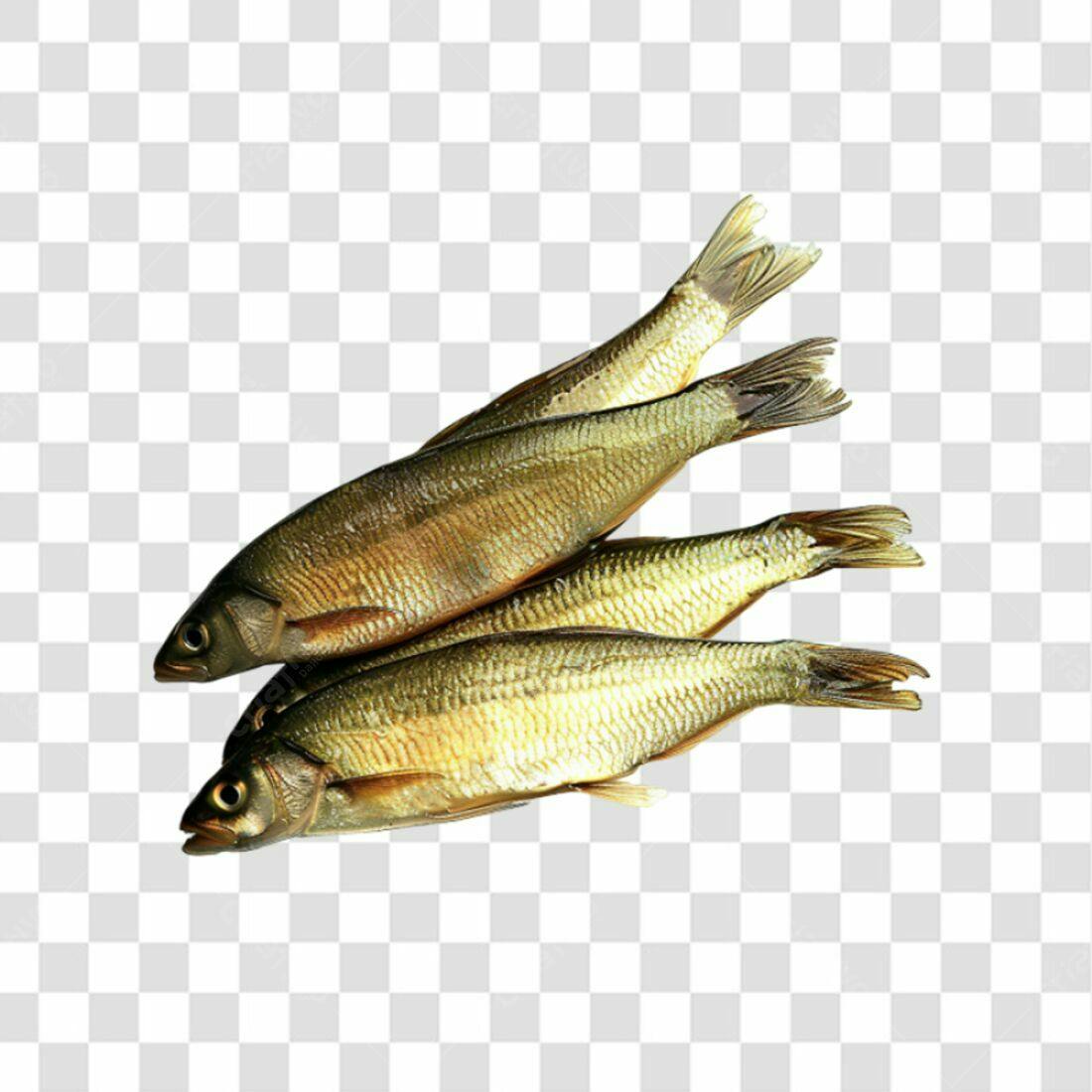Icone Peixes Frescos PNG com fundo transparente