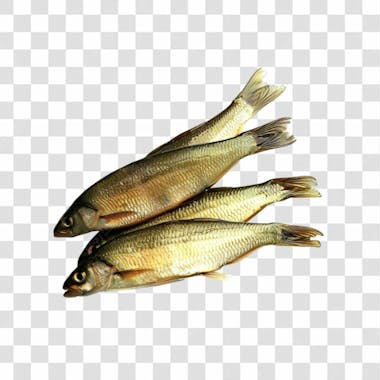 Peixes png transparente