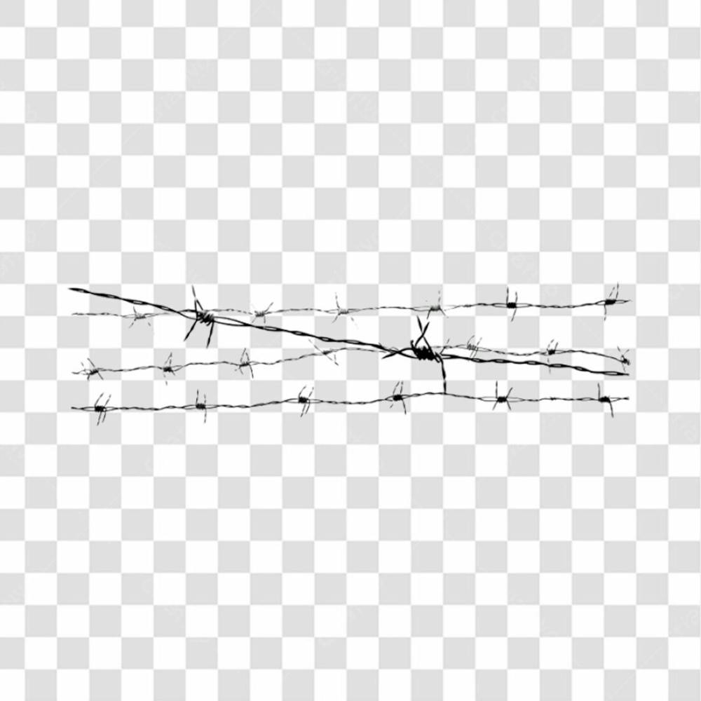 Arame Farpado Png Transparente (3)