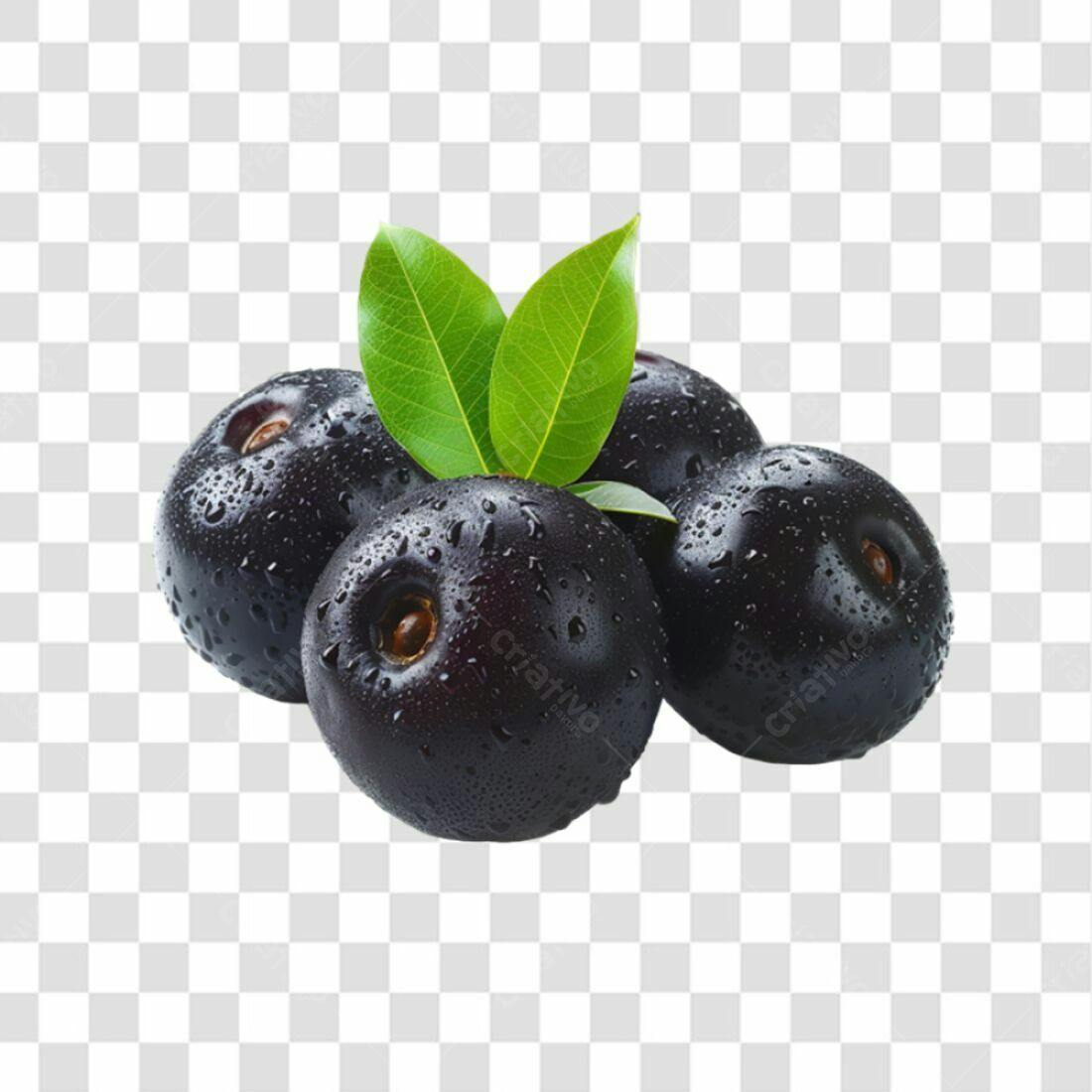 Icone de Jabuticabas PNG com fundo transparente