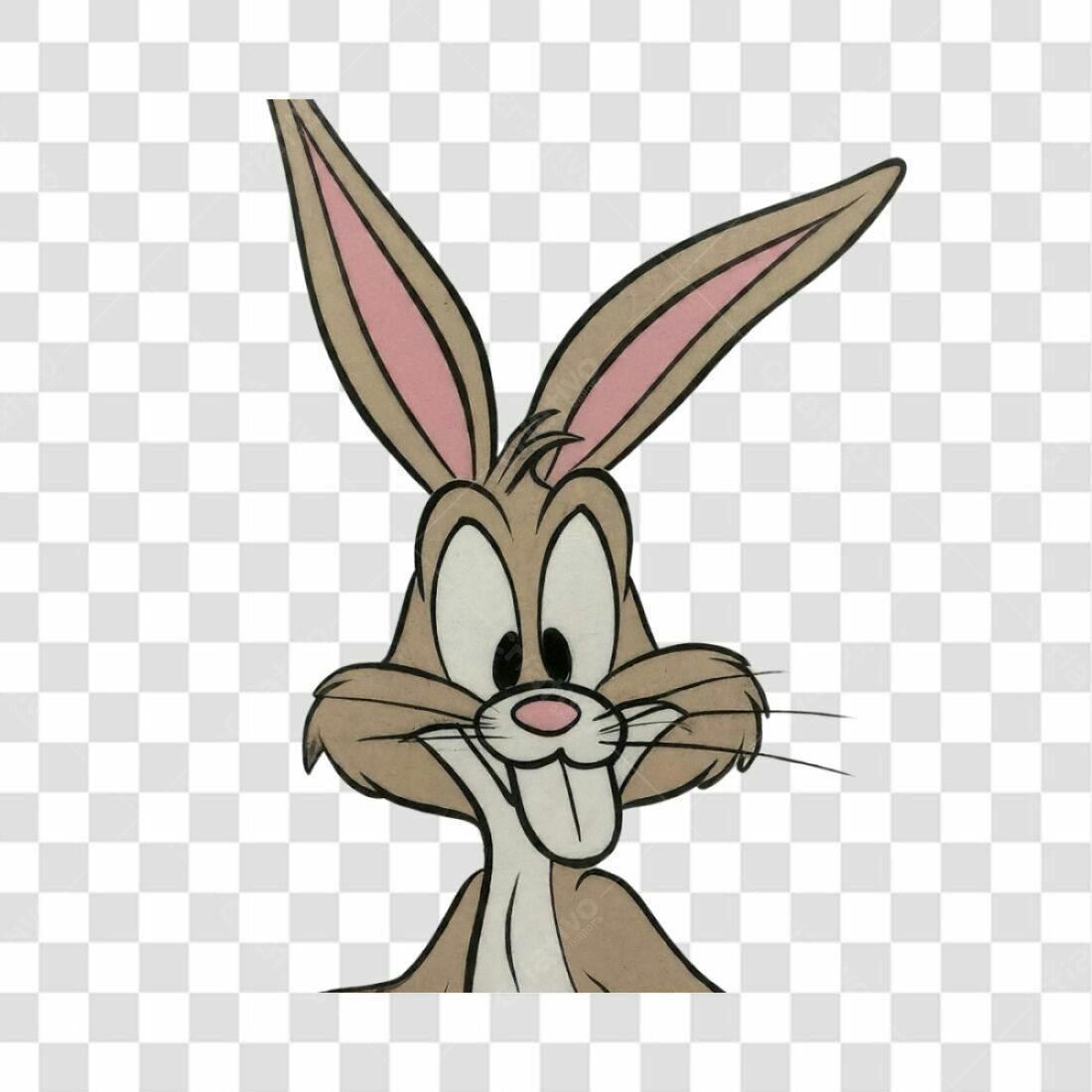 Icone Coelho Cartoon PNG com fundo transparente