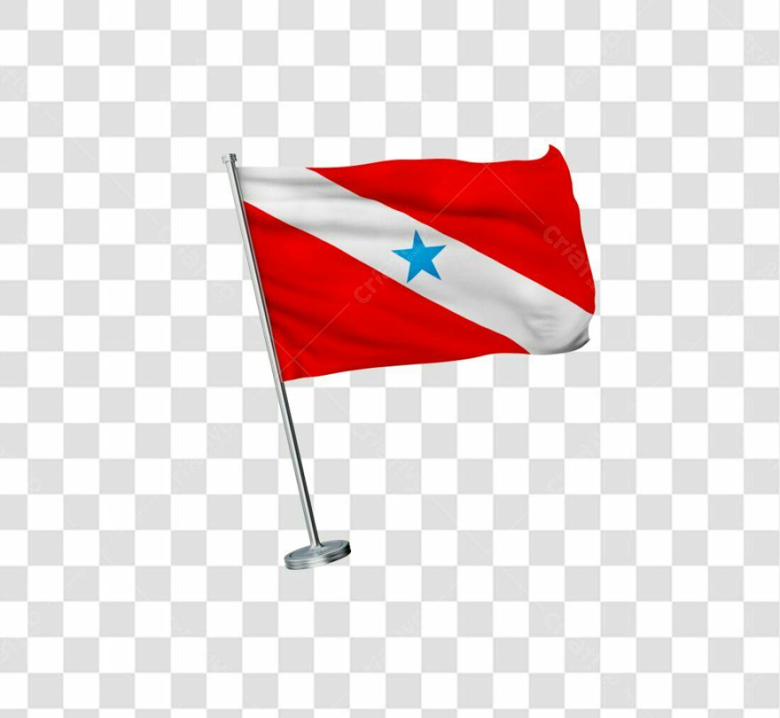 Bandeira do Pará PNG com fundo transparente