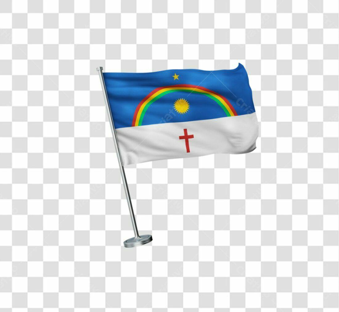 Bandeira de Rondônia PNG com fundo transparente