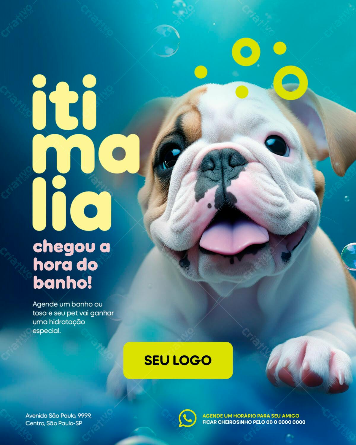 Flyer para Pet Shop PSD Editável