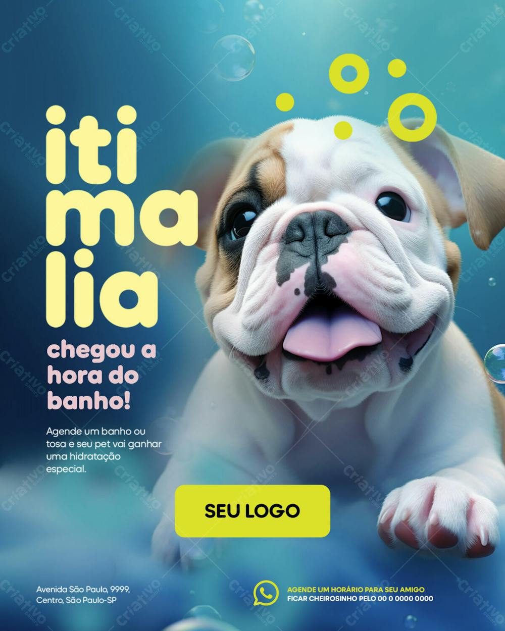 Feed Petshop   Itimalia Chegou A Hora Do Banho   Psd Editável