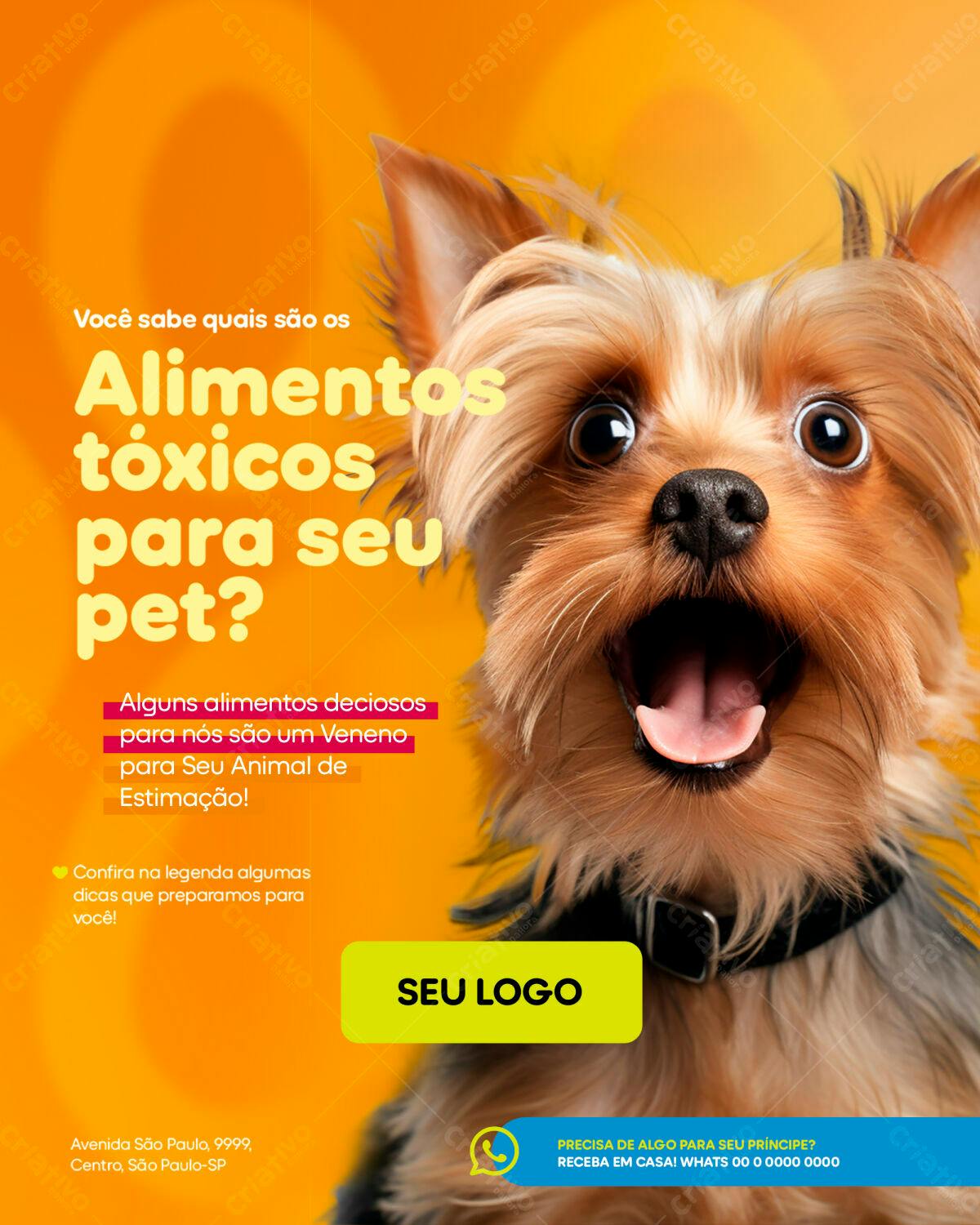 Post para Pet com Alimentos Tóxicos PSD Editável