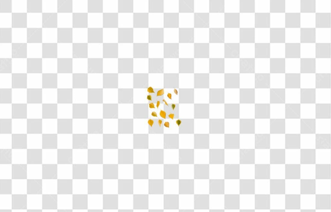 Icone Outono Folhas PNG com fundo transparente