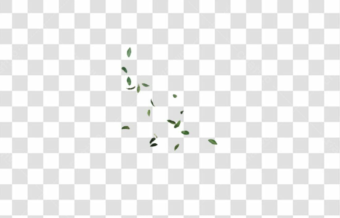 Icone Folhas Verdes PNG com fundo transparente