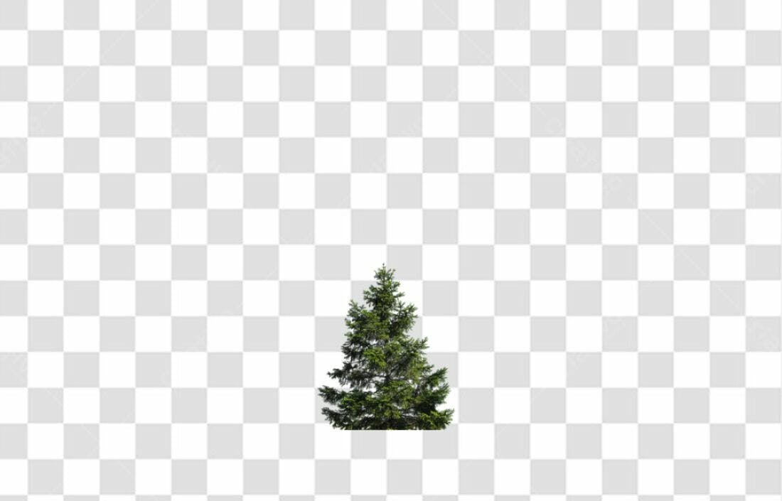 Icone Árvore de Natal PNG com fundo transparente