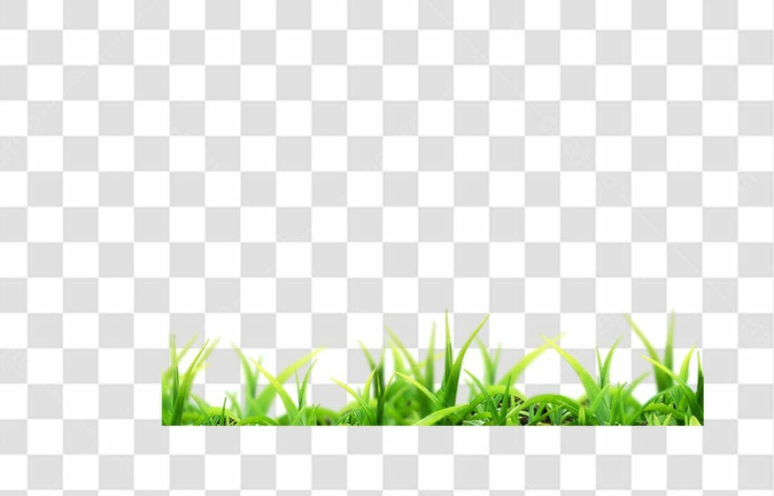 Icone Grama Verde PNG com fundo transparente