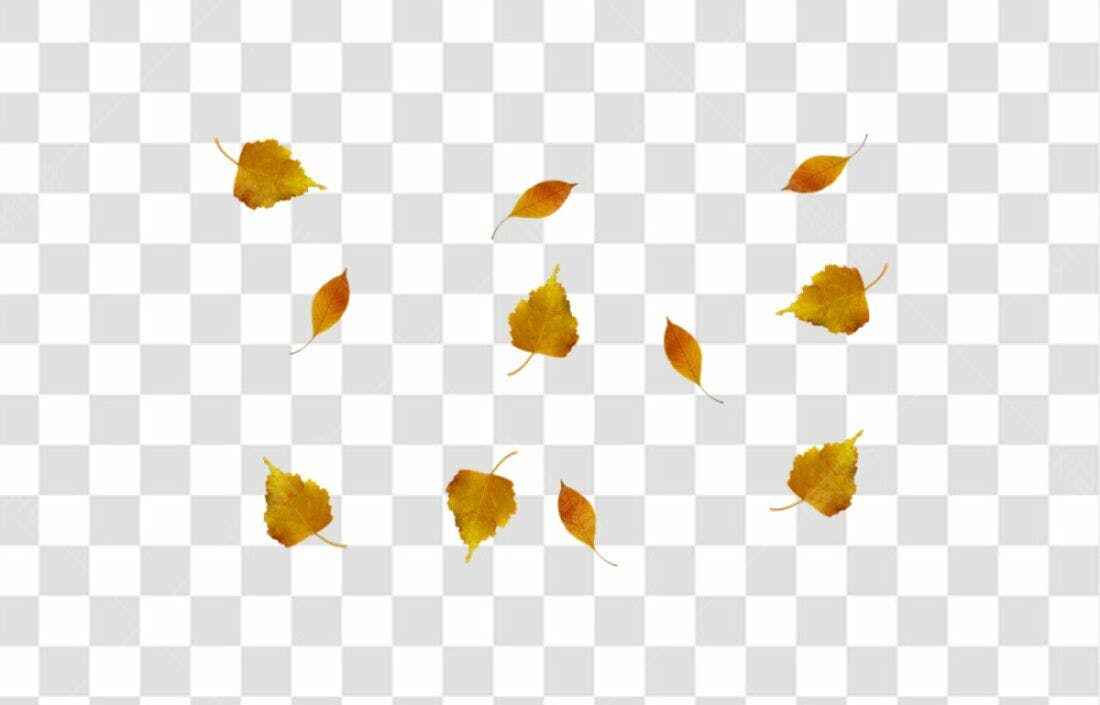 Icones Outono Folhas PNG com fundo transparente