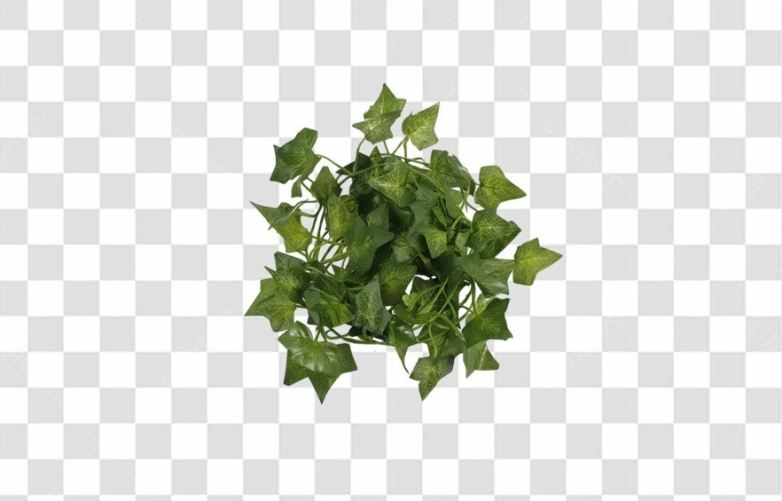 Icone Folhas Verdes PNG com fundo transparente